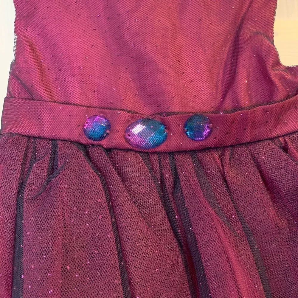 Sweet Heart Rose Girls Party Dress NWT